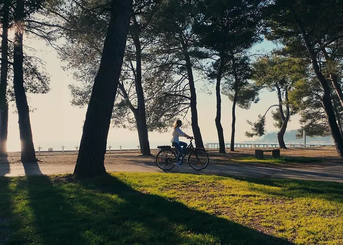 Casa vacanze Premium Mobile Homes - & Adria Ancarano